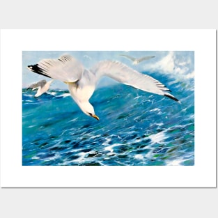 Seagull flying over the ocean. Posters and Art